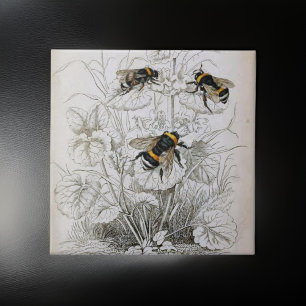 Carreau Illustration vintage HoneyBee  