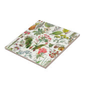 Carreau Illustrations botaniques Carrelage céramique (Côté)