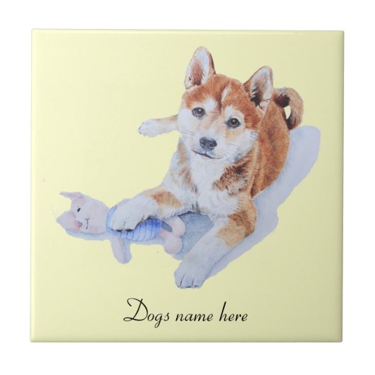 Carreau image de chiot mignon sheba inu et teddy (Devant)
