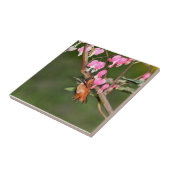 Carreau Image de colibri et de fleurs (Côté)