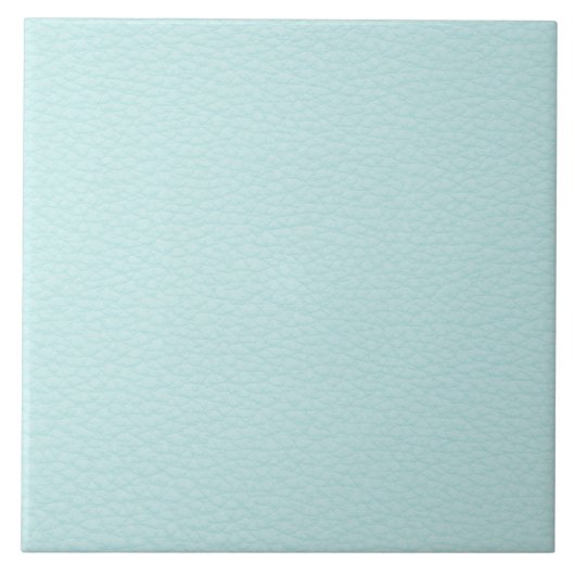Carreau Image de cuir léger de turquoise (Devant)
