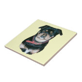 Carreau image de noir et de portrait bronzage de chien de (Côté)