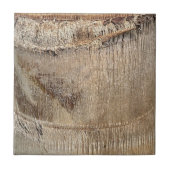 Carreau Image de texture de tronc de palmier dattier de pr (Devant)