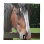 Carreau Image d'une tuile ou d'un trépied quarte de cheval (Devant)