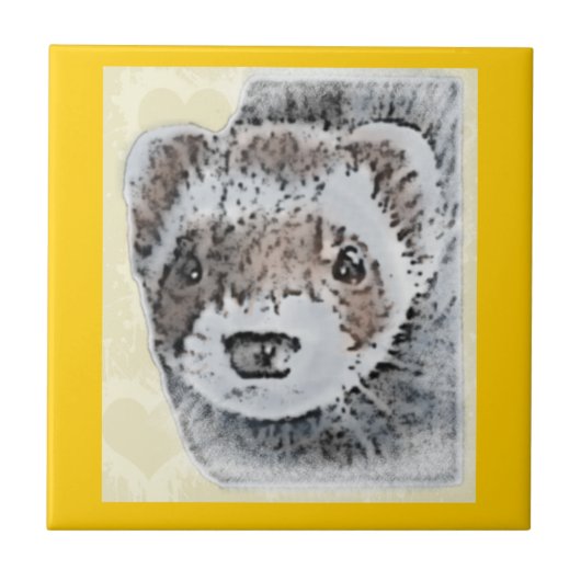 Carreau Image mignonne de furet (Devant)