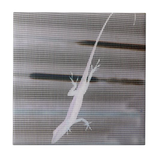 Carreau Image négative d'un lézard sur un écran de fenêtre (Devant)