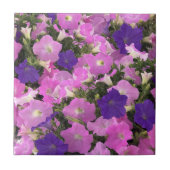 Carreau Image photo de fleurs de liseron rose et violet (Devant)