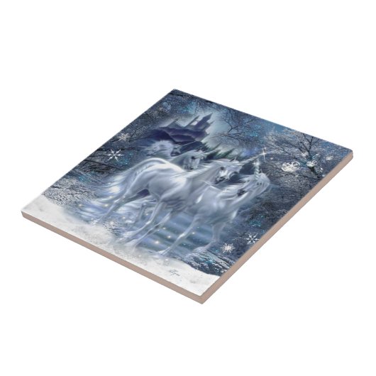 Carreau Imaginaire d'hiver (Côté)