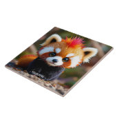 Carreau Imaginaire mignon Panda Red Hai (Côté)