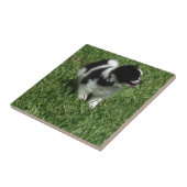 CARREAU IMG_0545.JPG (Côté)