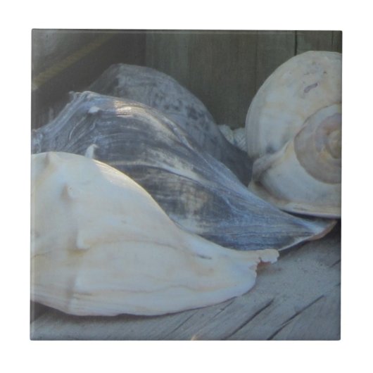 Carreau IMG_1498 (3).jpg (Devant)