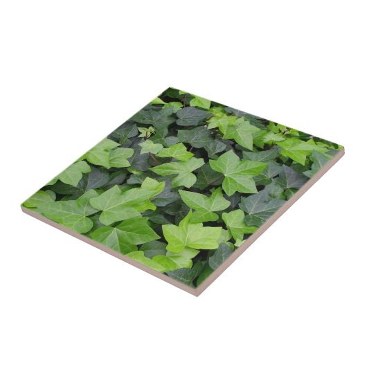 Carreau Impression botanique verte Ivy (Côté)