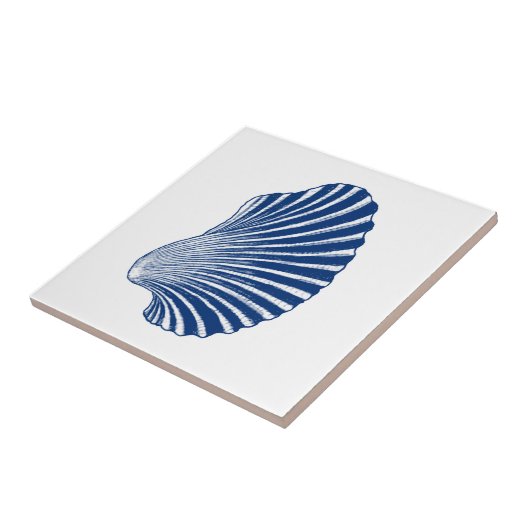 Carreau Impression de blocs de coquille de saint Jacques, (Côté)