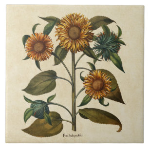 Carreau Impression Fleur de tournesol vintage
