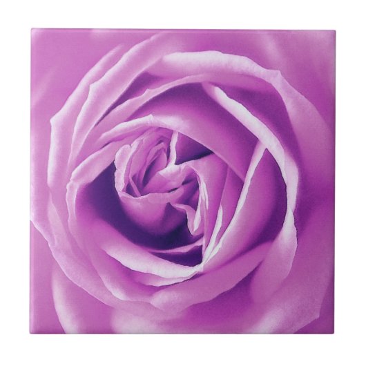 Carreau Impression rose lavande (Devant)