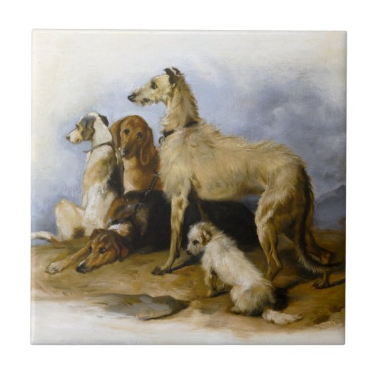 Carreau Imprimer les races de chiens Vintages (Devant)