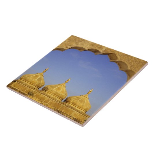 Carreau Inde, Rajasthan, Jaisalmer. Dômes de grès (Côté)