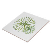 Carreau Indian Summer on a Ceramic Tile (W) (Côté)