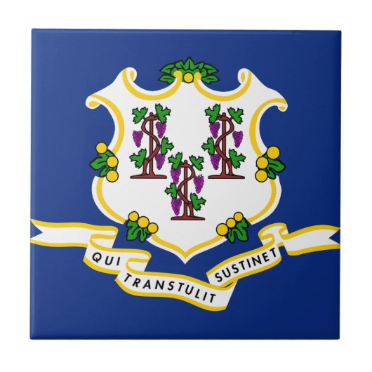 Carreau Indicateur d'état Connecticut (Devant)