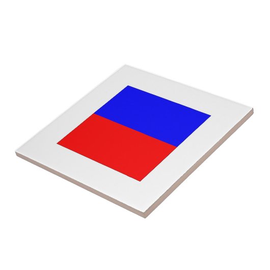 Carreau Indicateur ICS E (Côté)