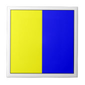 Carreau Indicateur ICS K (Devant)