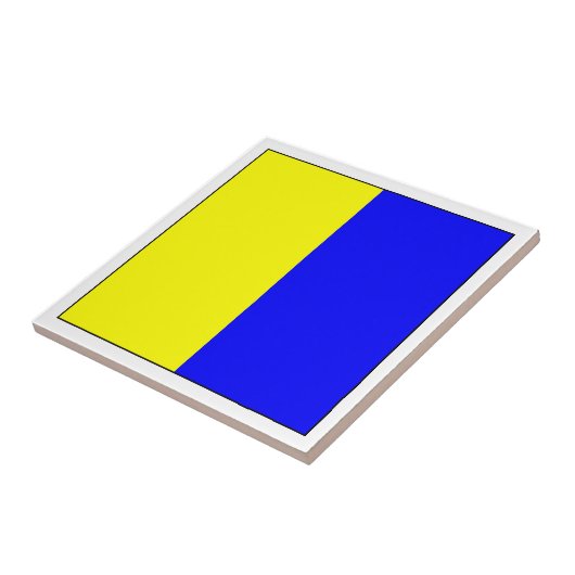 Carreau Indicateur ICS K (Côté)