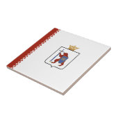 Carreau Indicateur Mari El (Côté)