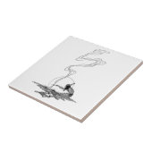 Carreau Indien dans sa solitude par NC Wyeth Western Vinta (Côté)