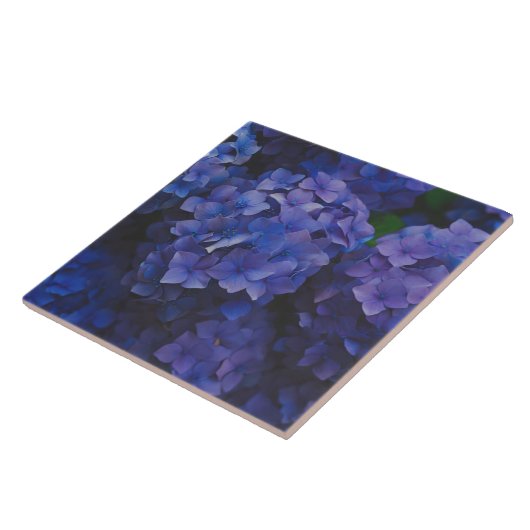 Carreau Indigo Hydrangea Dusk Decorative Ceramic Tile (Côté)