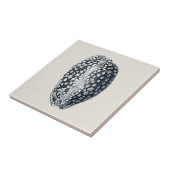 Carreau Indigo Seashell (Côté)