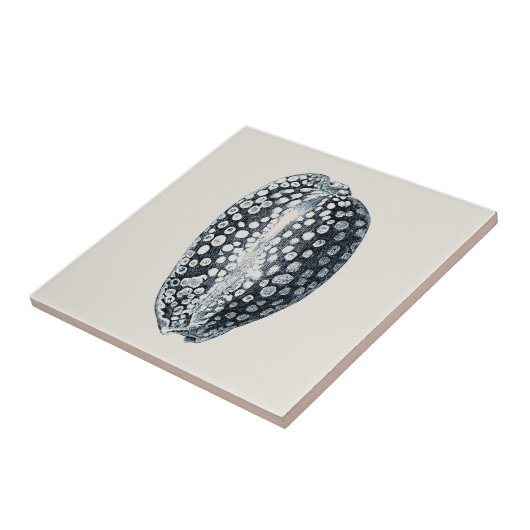 Carreau Indigo Seashell (Côté)