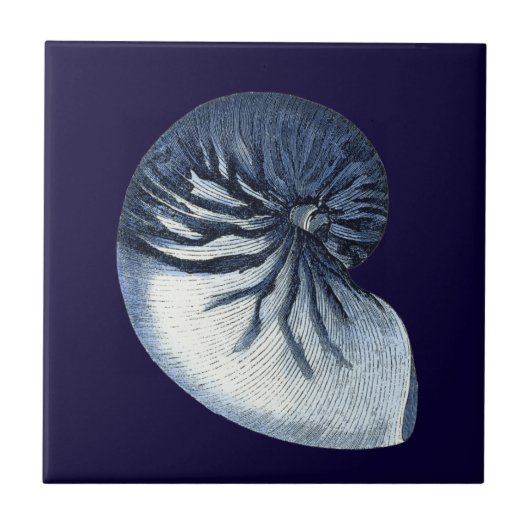 Carreau Indigo Shells VII (Devant)