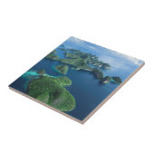 Carreau Indonésie, Papouasie occidentale. Aéroport De Raja (Côté)