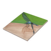 Carreau Insecte à libellules bleues sur un carrelage (Côté)