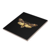 Carreau insecte papillon papillon de la tête de mort afric (Côté)