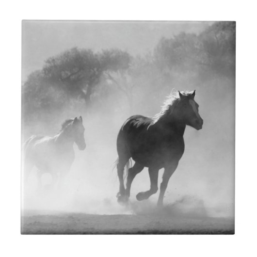 Carreau Inspirations de la nature Chevaux en noir et blanc (Devant)