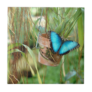Carreau Inspirations de la Nature Papillon Bleu Clair
