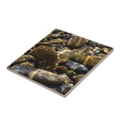 Carreau Inspirations de la nature Poutres de soleil Sous l (Côté)