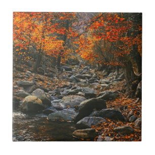 Carreau Inspirations de la nature Roumanie, Forêt d'autom