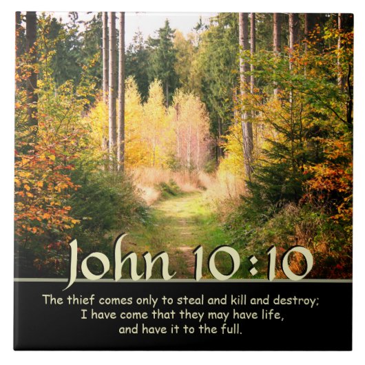Carreau Inspirer Bible Verse Jean 10 10 Chemin d'automne (Devant)