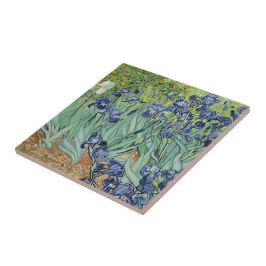 Carreau Iris (Côté)