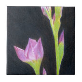 Carreau Iris (Devant)