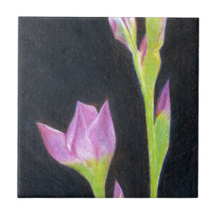 Carreau Iris