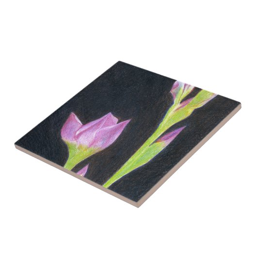 Carreau Iris (Côté)