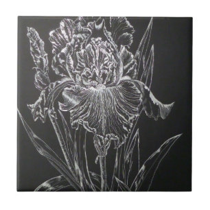 Carreau Iris