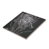 Carreau Iris (Côté)