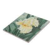 Carreau Iris 0434 crème (Côté)