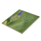 Carreau Iris avec la citation (Côté)