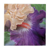 Carreau Iris barbu bicolore en fleurs (Devant)