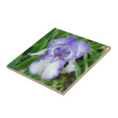 Carreau Iris bleu (Côté)